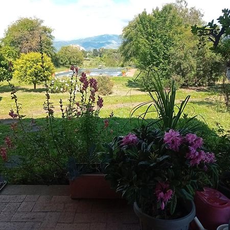 Casa Pratolungo Guest House เวลเลตริ ภายนอก รูปภาพ