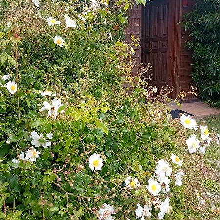 Casa Pratolungo Guest House เวลเลตริ ภายนอก รูปภาพ
