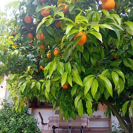 Casa Pratolungo Guest House เวลเลตริ ภายนอก รูปภาพ