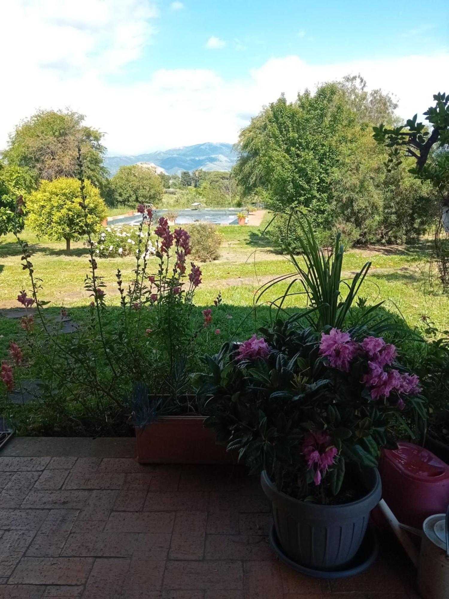 Casa Pratolungo Guest House เวลเลตริ ภายนอก รูปภาพ